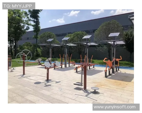 全面提升身体素质的体育健身器材选择与使用指南